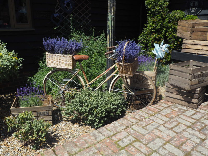 Life In Lilac UK Lifestyle Blog Tour Of Kentish Lavender Fields